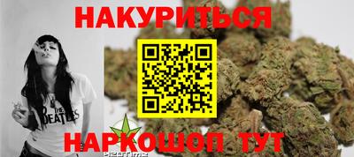стаф Краснодар